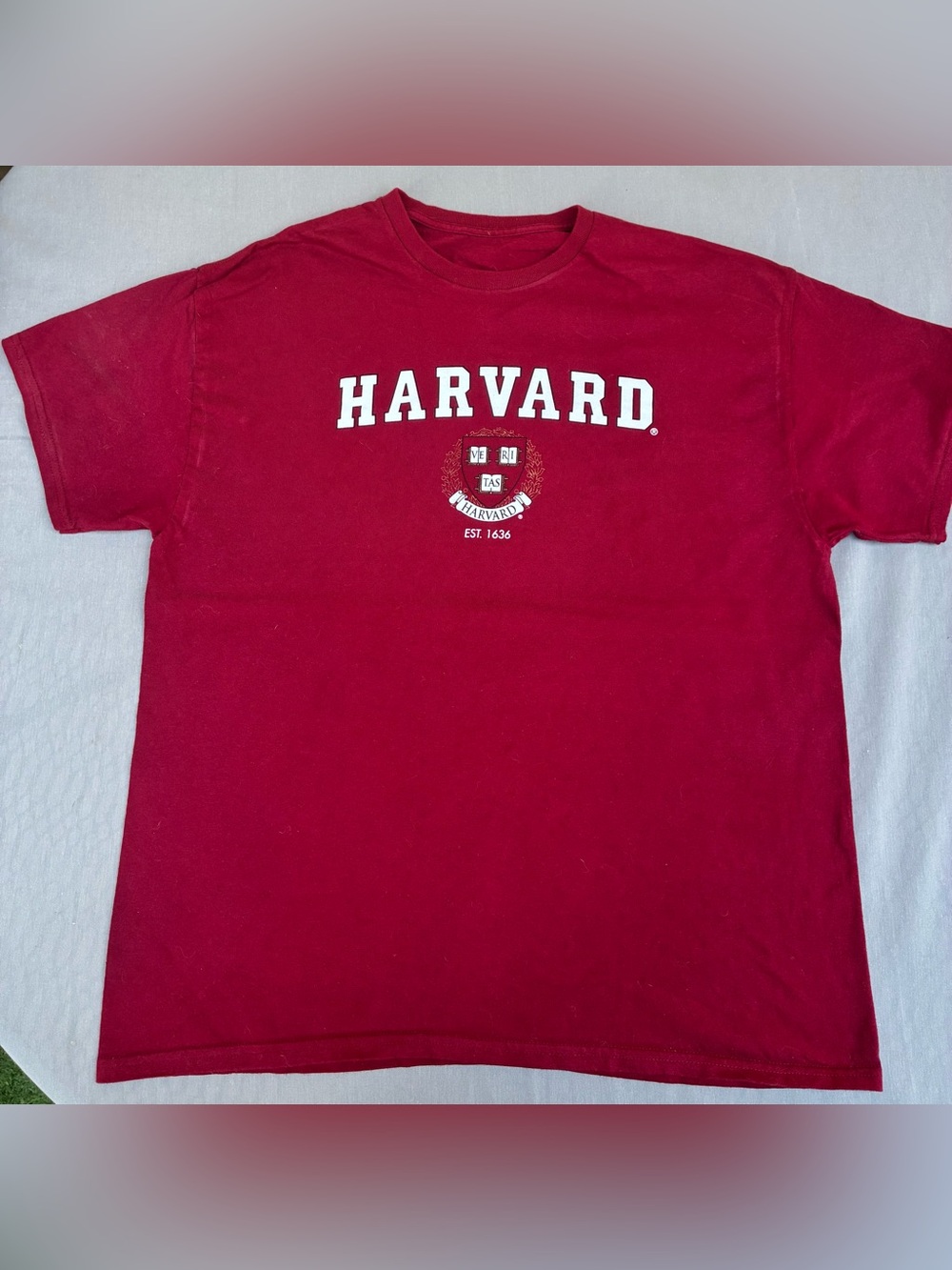& Other Stories Crimson Harvard Crest Crewneck T-Shirt